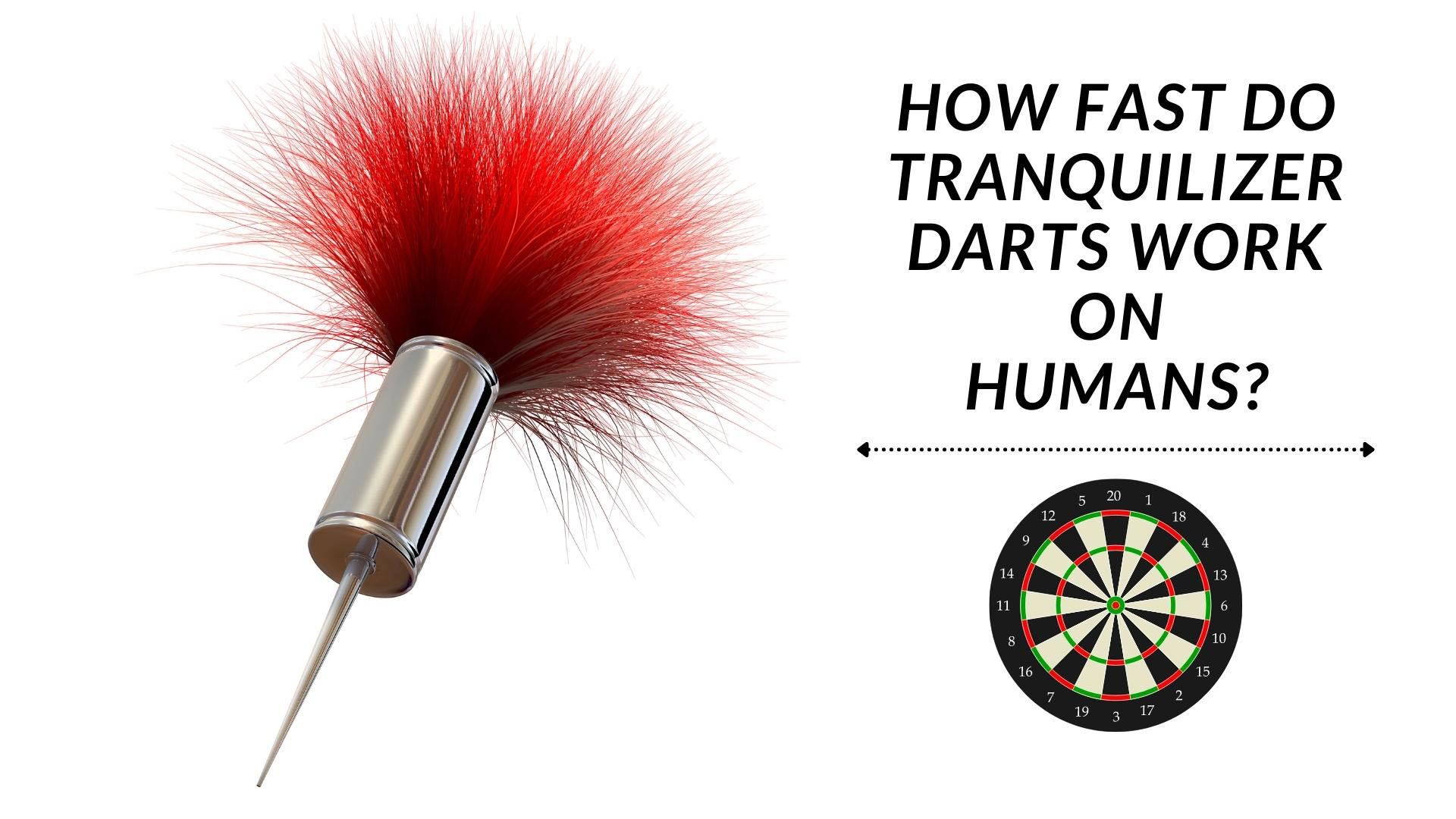 How Fast Do Tranquilizer Darts Work On Humans?