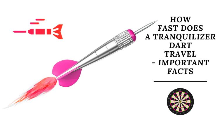 How Fast Does A Tranquilizer Dart Travel – Important Facts