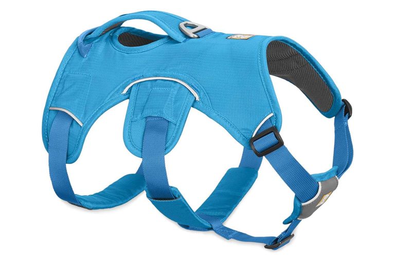 Unleash the Comfort and Control: Discover the Best Dog Harness for Large Dogs!